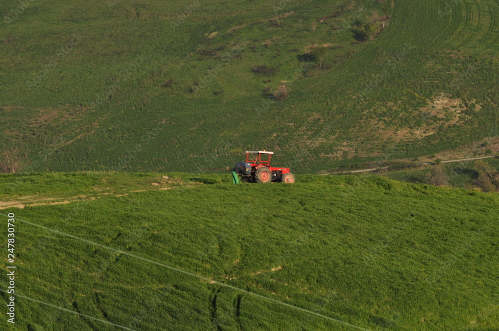 Naklejka premium Tractor