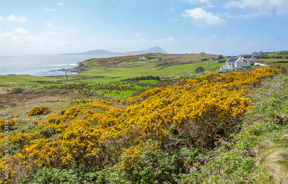 coastal scenery in Ireland