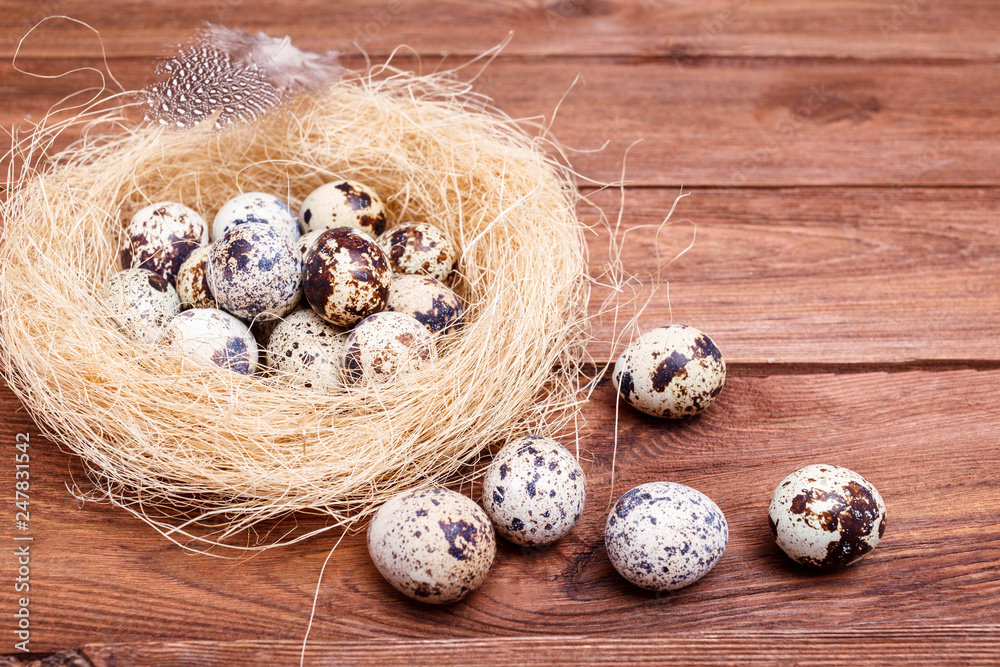 Quail easter eggs with and feathers in nest on wooden table, copy space. Spring, Easter, healthy organic food concept Quail easter eggs with and feathers in nest on wooden table, copy space. Spring, Easter, healthy organic food concept
