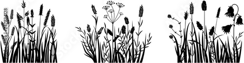 Grass set, field, cereal, flower, herbs