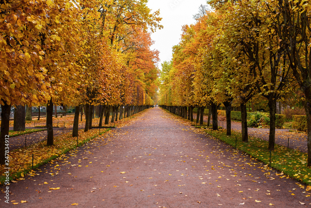 Naklejka premium Moscow , Saint-petersburg