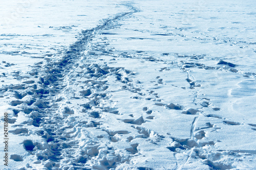 Human footprints in a light blue snow. Winter landscape