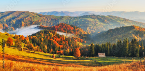 autumn sunrise in the Carpathian mountains. foggy morning