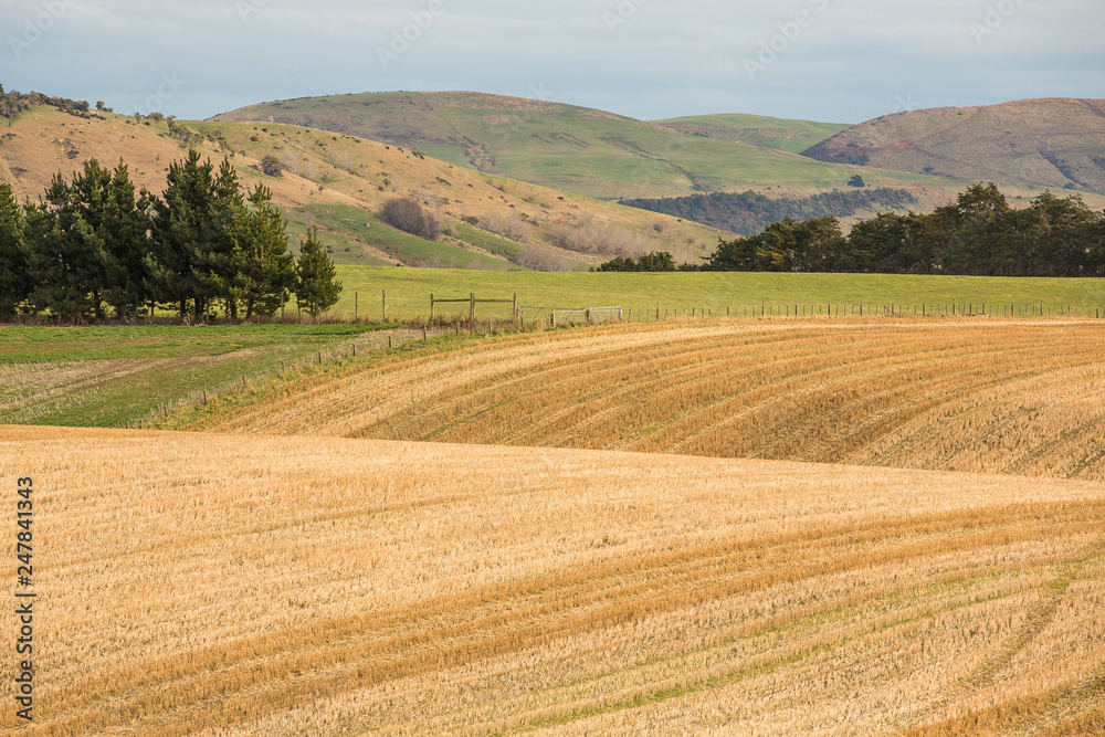 Farming fields in New Zealand South Island