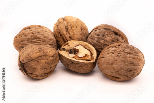 Walnut