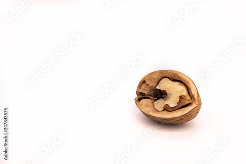 Walnut