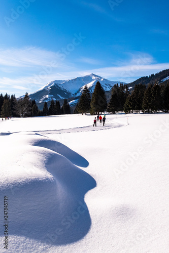 Some adults running cross-country skiing in snow-covered holdiday resort Hohentauern photo