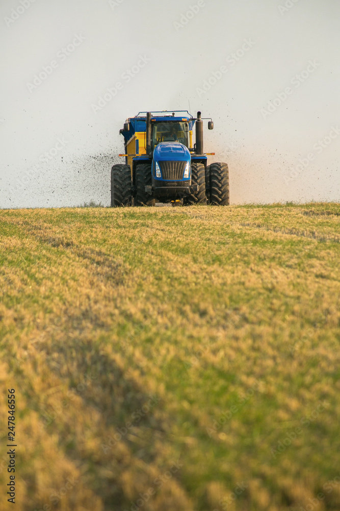Obraz premium the tractor fertilizes the field with manure. A large trailer. Sowing. Agroindustry.Pole before sowing. Against the sky. yellow tractor.