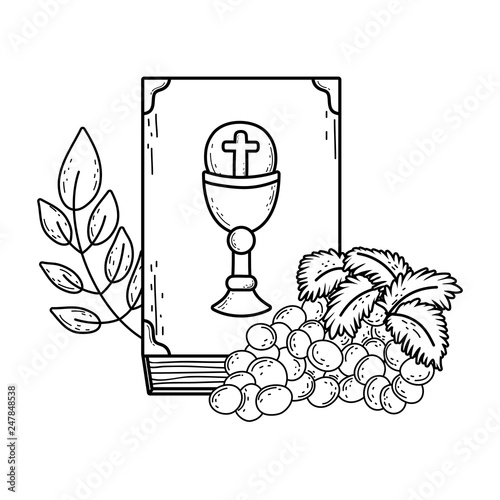 holy bible book with grapes fruits