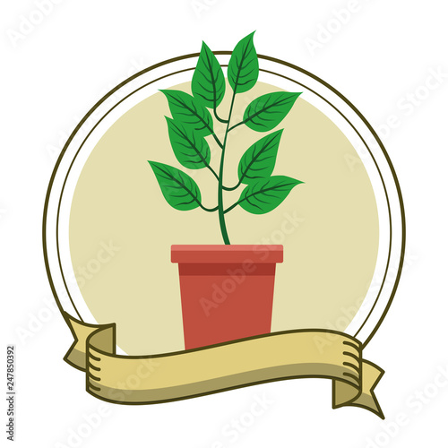 plant pot cartoon
