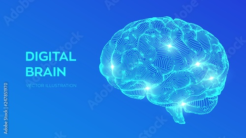 Brain. Digital brain. 3D Science and Technology concept. Neural network. IQ testing, artificial intelligence virtual emulation science technology. Brainstorm think idea. Vector illustration.