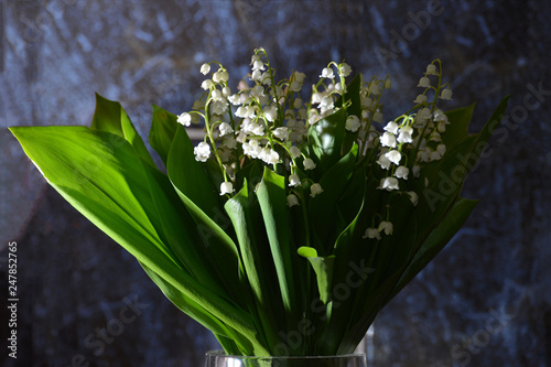 A bouquet of lilies of the valley in a glass vase, lilies of the valley on a blue marble background.