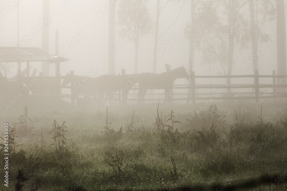 Obraz premium Sunrise in Sopó (Colombia)