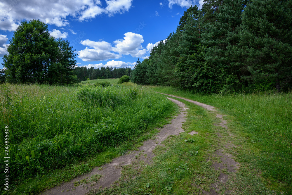 empty country gravel road with mud puddles and bumps empty country gravel road with mud puddles and bumps