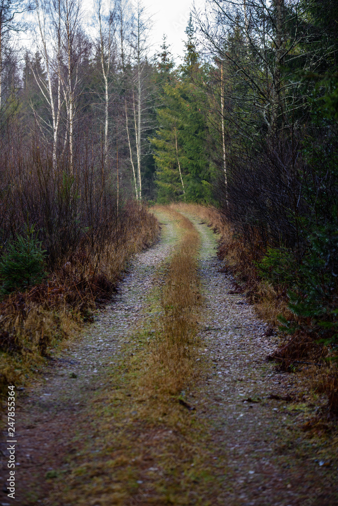 empty country gravel road with mud puddles and bumps empty country gravel road with mud puddles and bumps