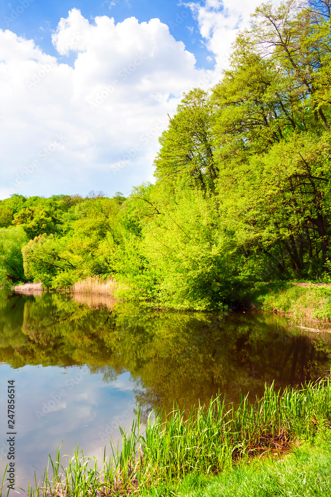 Forest lake in spring. Goloseevo, Kiev, Ukraine