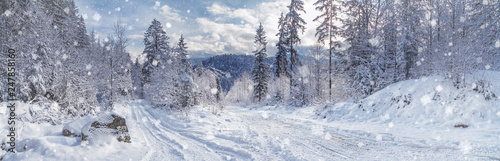 Winter landscape, panorama, banner - view of the snowy road in the winter mountain forest