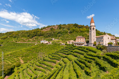 Obraz na płótnie Vigne di Prosecco nelle colline di Rollè - Valdobbiadene, Veneto. w salonie