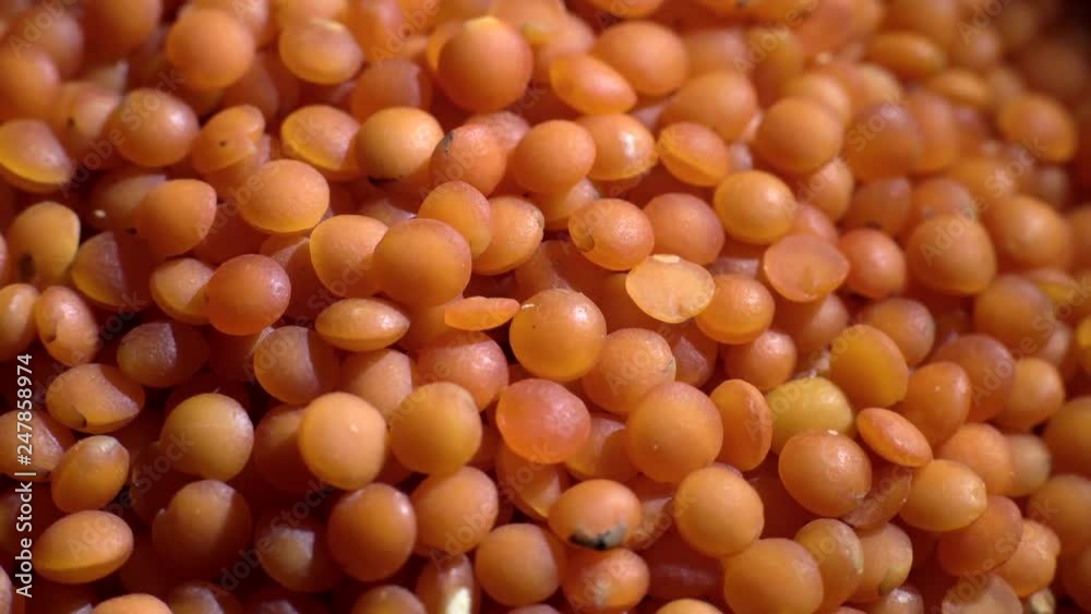 Lentils. Heap of raw uncooked red lentils in bowl in rotation. Red Chief Lentils, petite crimson lentils - Close up. Food background. studio shot. Healthy organic food diet concept Lentils. Heap of raw uncooked red lentils in bowl in rotation. Red Chief Lentils, petite crimson lentils - Close up. Food background. studio shot. Healthy organic food diet concept