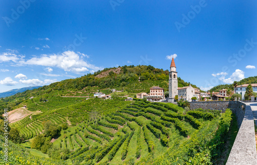 Panoramica sulle vigne di Prosecco nelle colline di Rollè - Valdobbiadene, Veneto. photo
