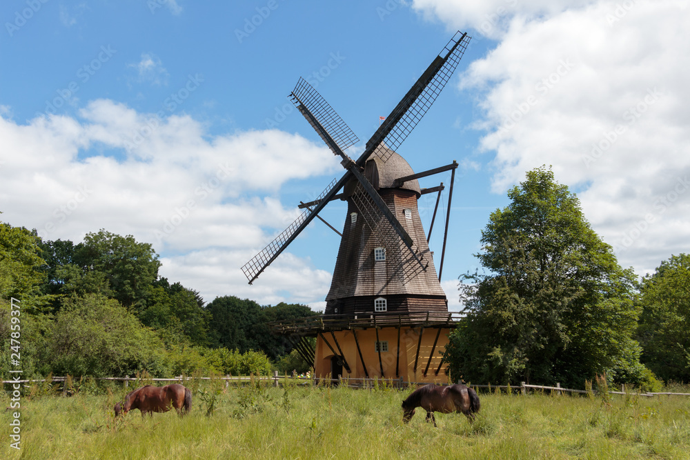 Traditional windmill in the countryside on a sunny summer day. Two brown horses eating lush green grass in front of the windmill. Frilandsmuseet, Denmark.
