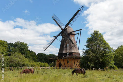 Obraz na płótnie Traditional windmill in the countryside on a sunny summer day. Two brown horses eating lush green grass in front of the windmill. Frilandsmuseet, Denmark. w salonie