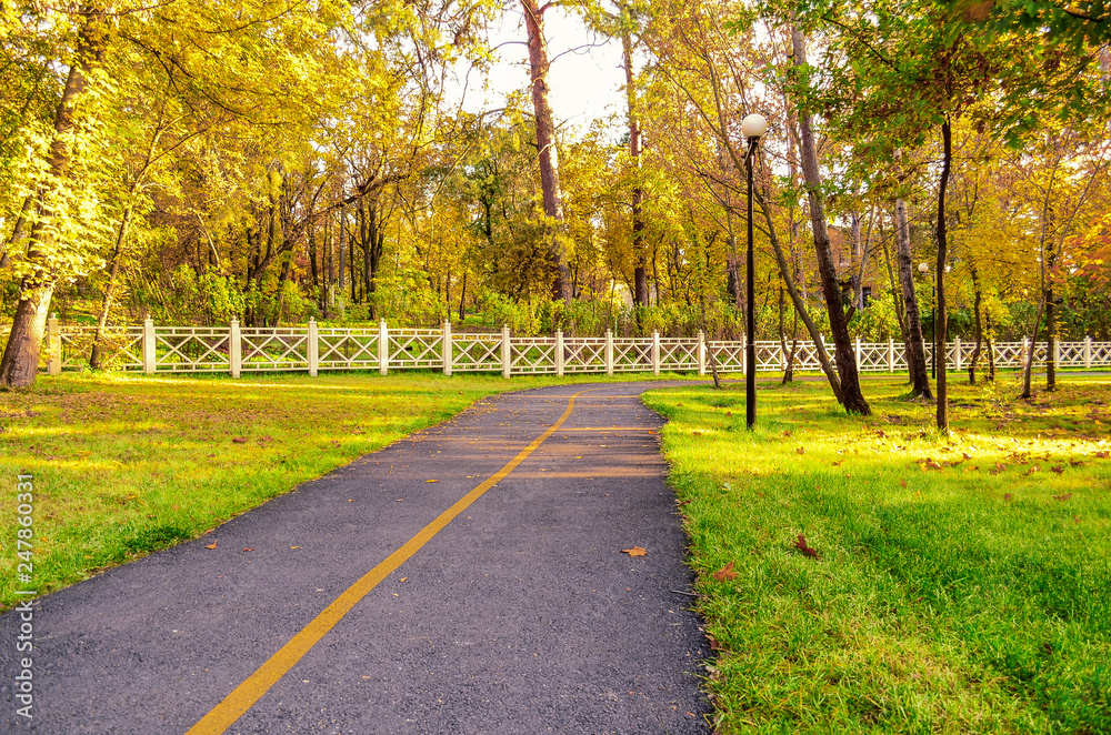 Fototapeta premium Walking and bike path in the park