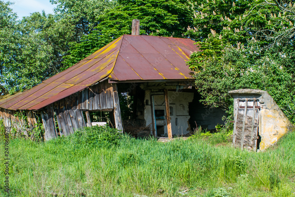 Obraz premium Abandoned house that does not belong to anyone in the middle of the thickets in the village is falling apart in summer