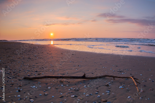 Ramo in spiaggia all'alba photo