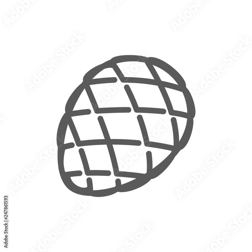 Fir cone line icon.