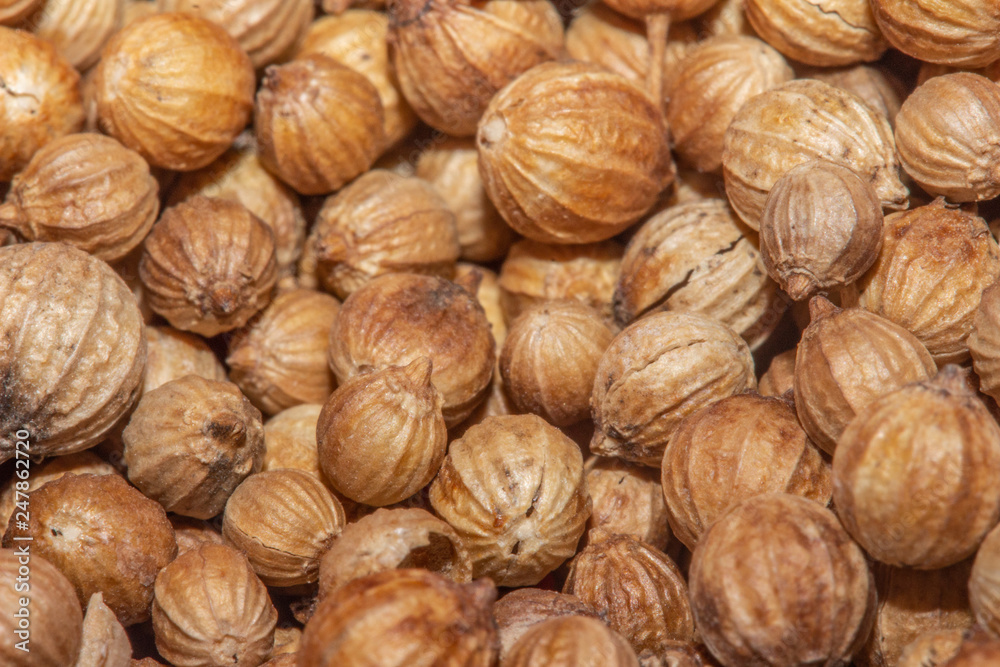 Coriander Seeds