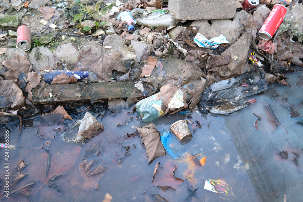 Fototapeta premium sol pollué