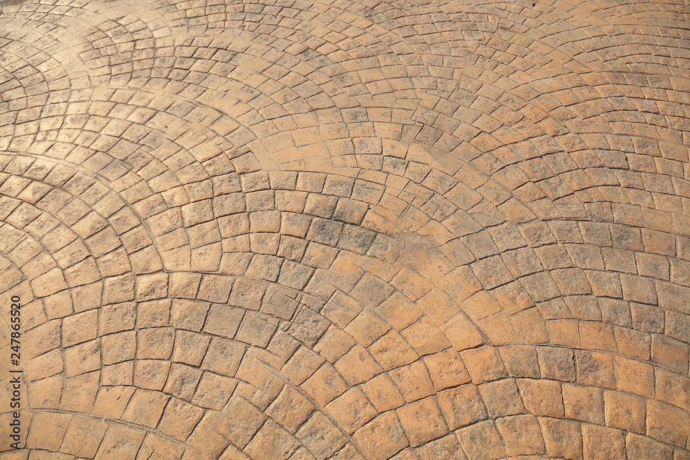 Fototapeta premium Reticulate traces on the ground