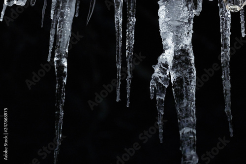 number of natural icicles on a black background. frozen water in winter. a group of dangling icicles. copy space.