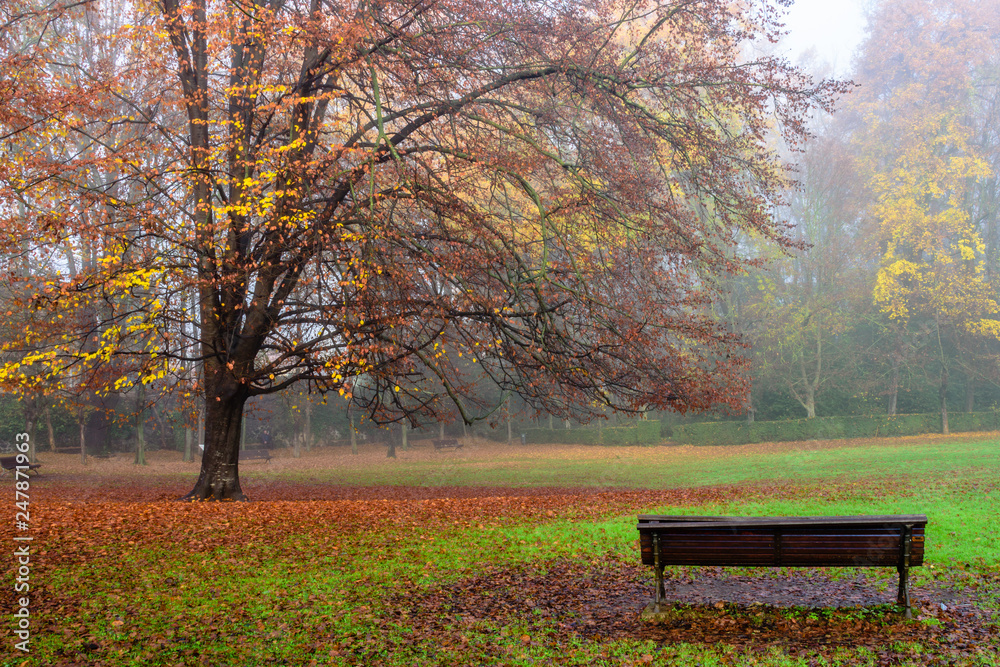 Wooden bench in the park, in the autumn season.