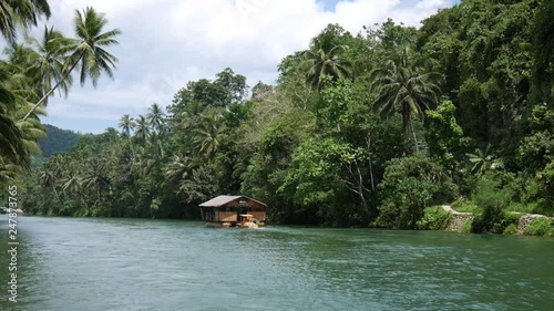 Philippines, Bohol - Exotic River Cruise through the jungle on Loboc River in Bohol photo
