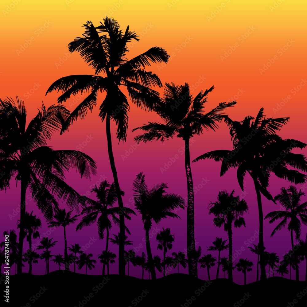 Tropical background with palm trees, vector illustration.