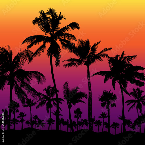 Tropical background with palm trees, vector illustration.