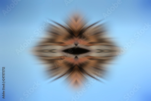 Fototapeta Naklejka Na Ścianę i Meble -  radial color pattern, closeup of photo