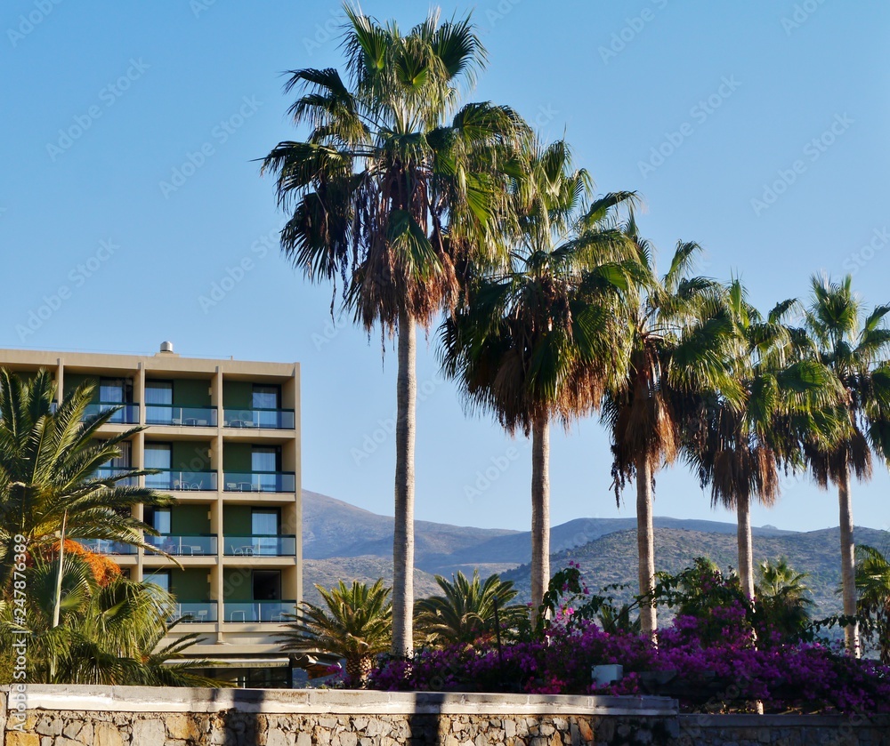 Fototapeta premium Palmen neben Hotel auf Kreta in Malia