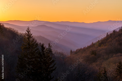 Misty Mountain Morning