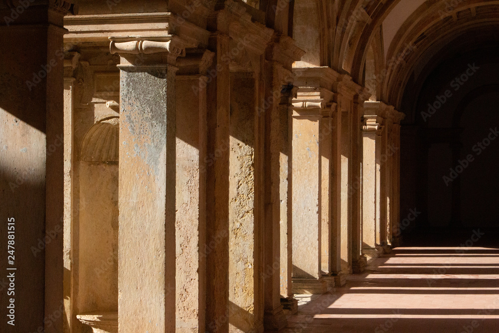 Fototapeta premium columns of the church