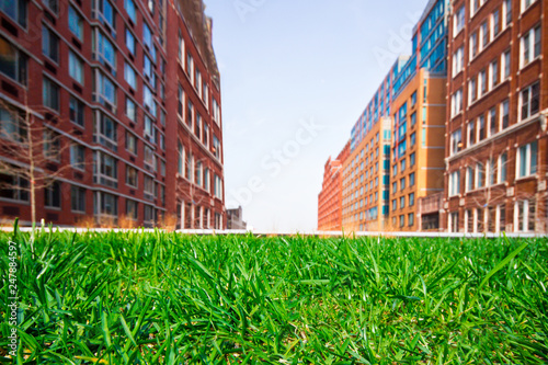 Green grass lawn with city apartment buildings in the background