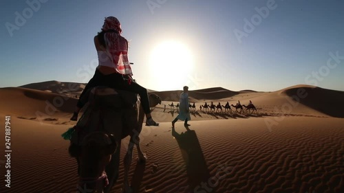 Beautiful shot of a Camel caravan making it¬¥s way through the Sahara Desert. Joint trip and Travel adventures concept. photo