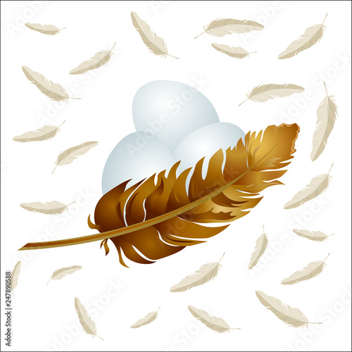 Illustration 3D de trois oeufs blanc blottis au creux d’une plume brune de poule afin de promouvoir les bons oeufs de la ferme.