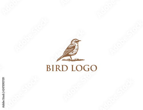 bird logo hand draw