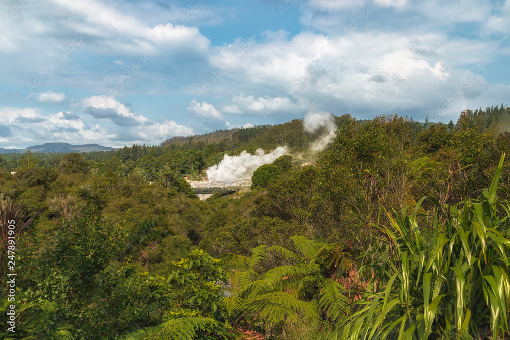 Fototapeta premium Geothermal Park in Rotorua, North Island of New Zealand