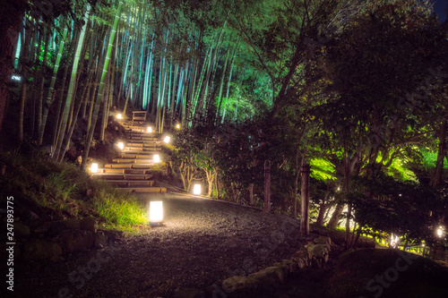 An illuminated path at the bamboo forest in the tranquil gardens of Kodaiji buddhist Temple in Gion District, Kyoto, Japan. photo