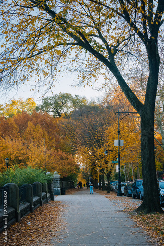 Fototapeta Naklejka Na Ścianę i Meble -  Autumn color at Morningside Heights, in Harlem, New York City