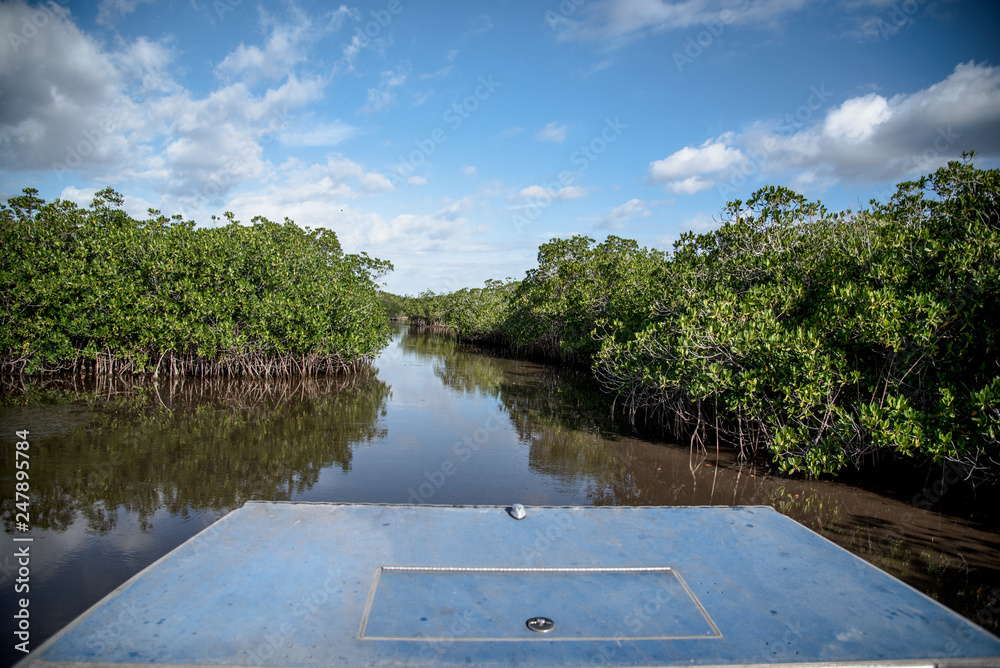 Fototapeta premium Everglades air boat ride 